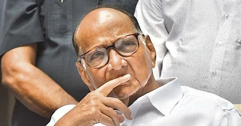 Pawar_1 H x W: Pawar_1 H x W: