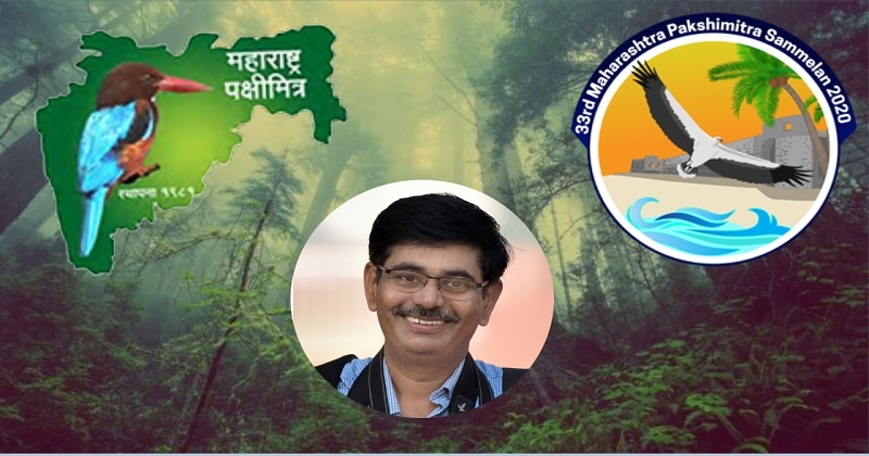 tiger_1 H x W: tiger_1 H x W: