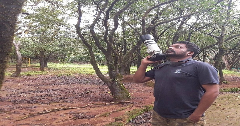 tiger_1&nbsp;&nbsp;H x W: