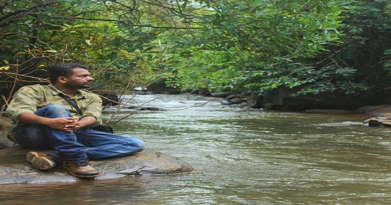 tiger_1&nbsp;&nbsp;H x W: