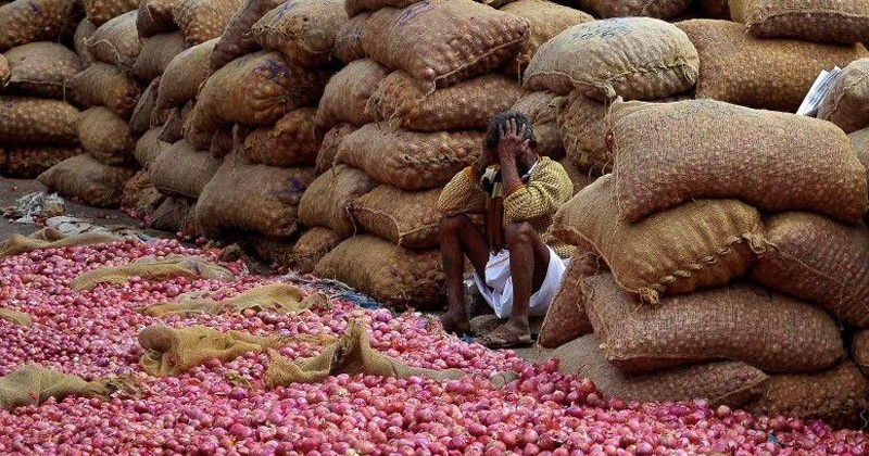 onion_1 H x W: onion_1 H x W: