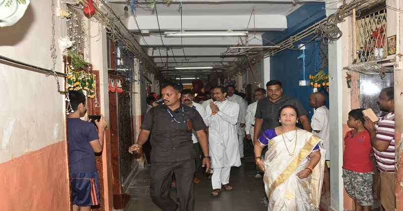 tiger_1&nbsp;&nbsp;H x W: