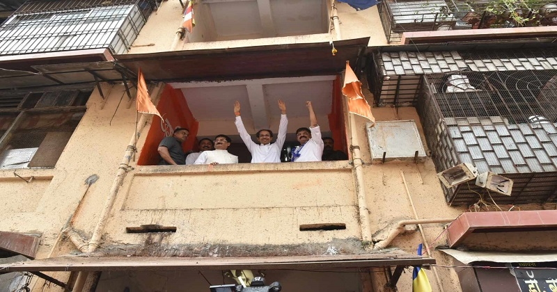 tiger_1&nbsp;&nbsp;H x W: