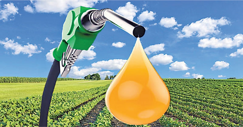 saf_1 H x W: 0 saf_1 H x W: 0