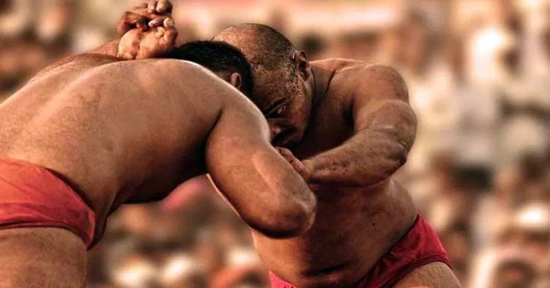 saf_1 H x W: 0 saf_1 H x W: 0