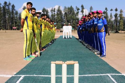 cricket_1&nbsp;&nbsp;H x 