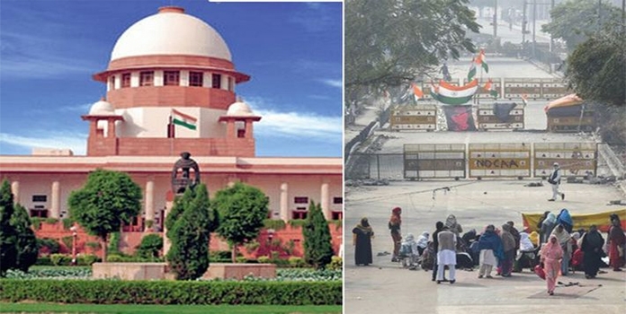 Shaheen Baag_1&nbsp;&nbsp;