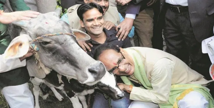 mp government_1&nbsp;&nbs