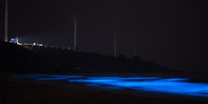 bioluminescent algae_1&nb