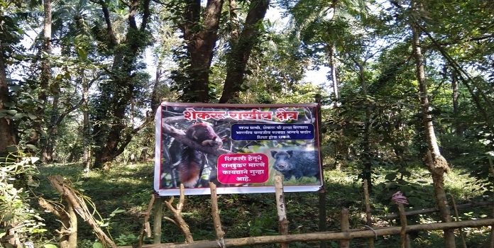 Indian giant squirrel,_1&