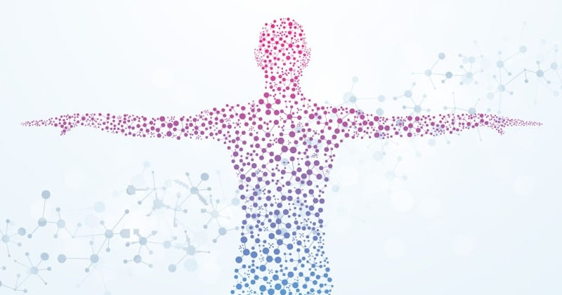 human health_1&nbsp;&nbsp;