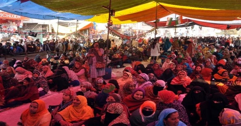 caa_1&nbsp;&nbsp;H x W: 0