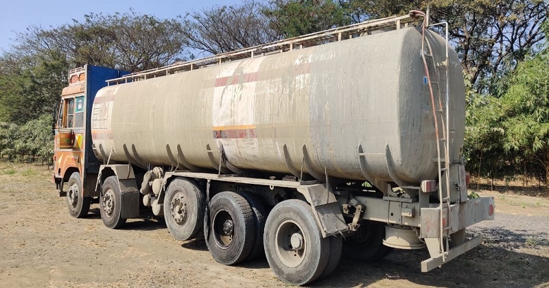 tiger_1&nbsp;&nbsp;H x W: