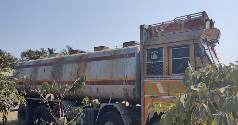 tiger_1&nbsp;&nbsp;H x W: