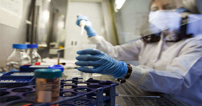 corona_1&nbsp;&nbsp;H x W