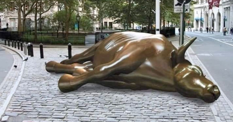 Bull of stock market _1&n