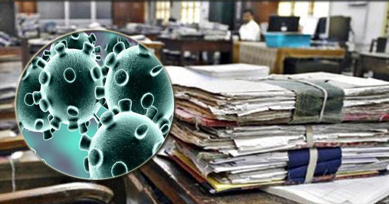 corona_1&nbsp;&nbsp;H x W