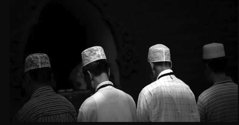 vivi_1&nbsp;&nbsp;H x W: 