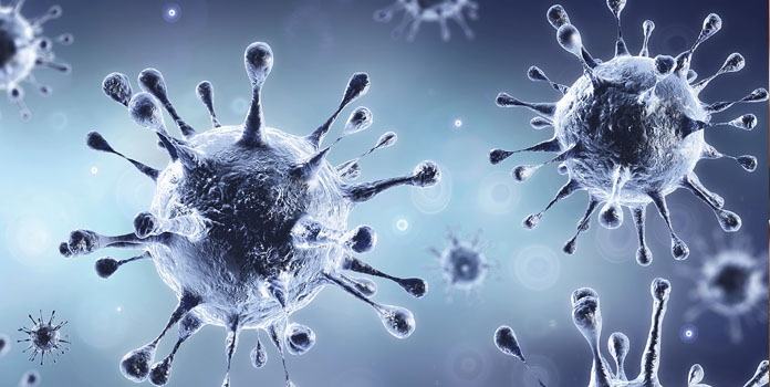 Corona_1&nbsp;&nbsp;H x W