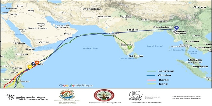 bird_1&nbsp;&nbsp;H x W: 