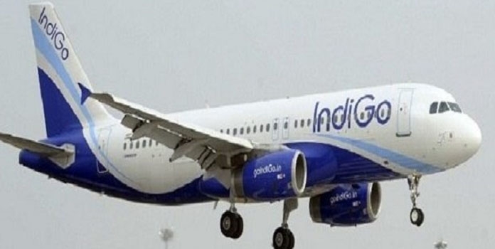 flight_1&nbsp;&nbsp;H x W