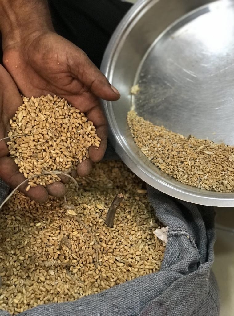 Worli Ration Shop - Wheat Worli Ration Shop - Wheat