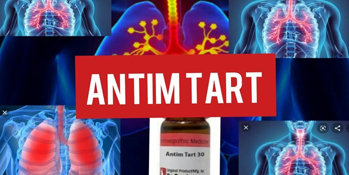 Antim tart_1&nbsp;&nbsp;H