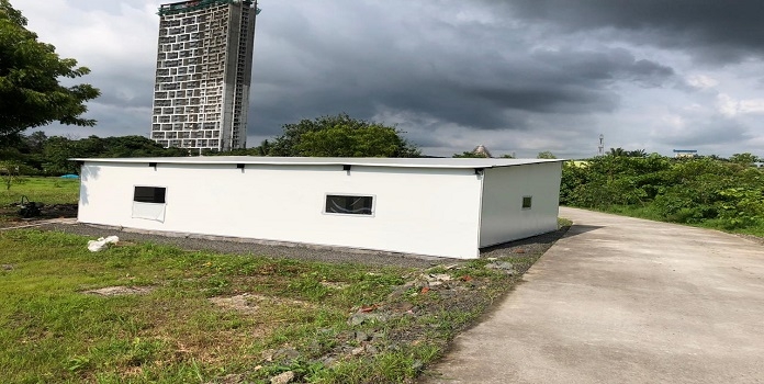 mangrove cell turtle cent