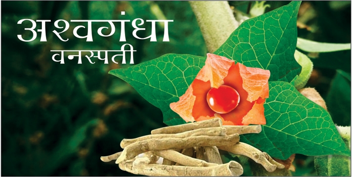 a_1&nbsp;&nbsp;H x W: 0 x