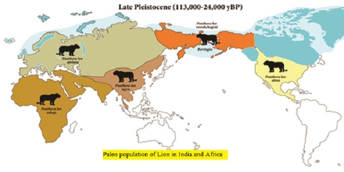late Pleistocene_1 &