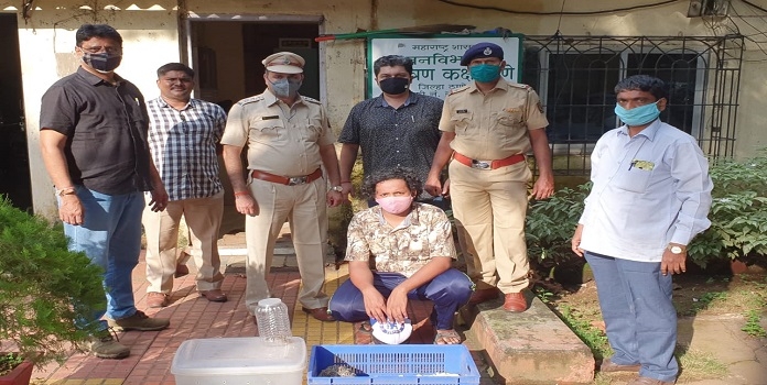 forest _1&nbsp;&nbsp;H x 