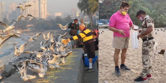 bird _1&nbsp;&nbsp;H x W: