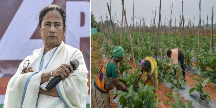 mamata_1&nbsp;&nbsp;H x W