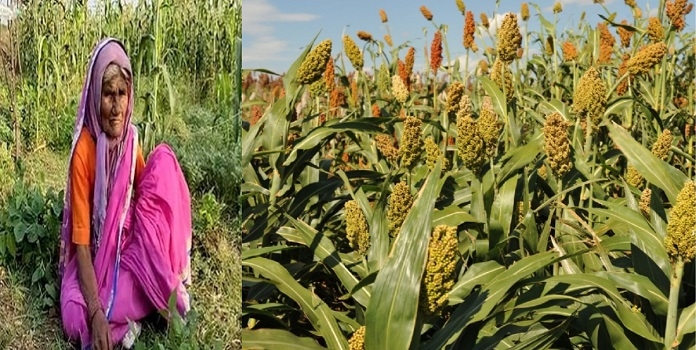 bird_1&nbsp;&nbsp;H x W: 