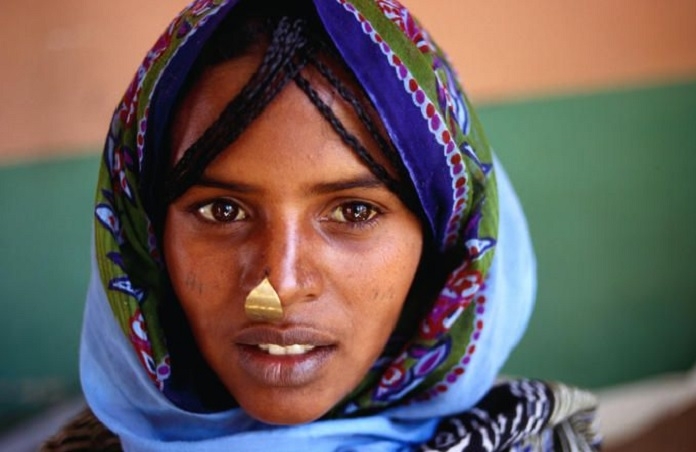 tigre _1&nbsp;&nbsp;H x W