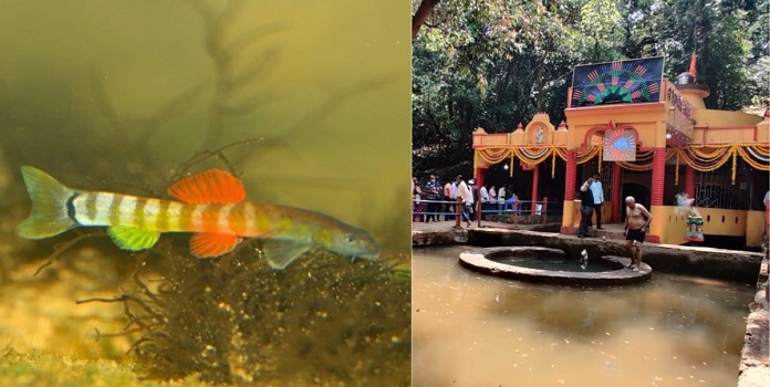 shitura hiranyakeshi _1&n