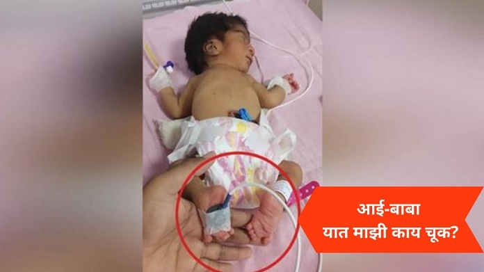 baby _1&nbsp;&nbsp;H x W: