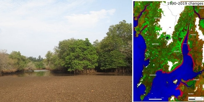 creek _1&nbsp;&nbsp;H x W