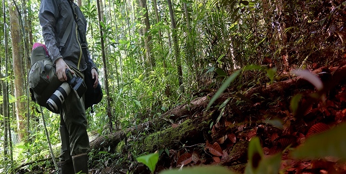 media_1&nbsp;&nbsp;H x W: