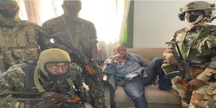 guinea_1&nbsp;&nbsp;H x W