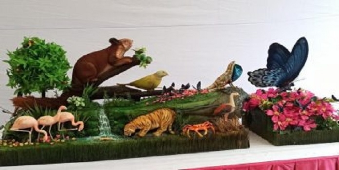 ूोवताोह