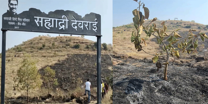 सयाजी शिंदेंच्या 