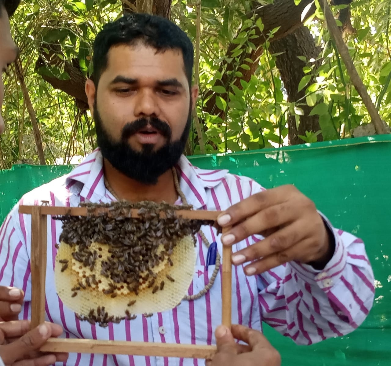 Bees1