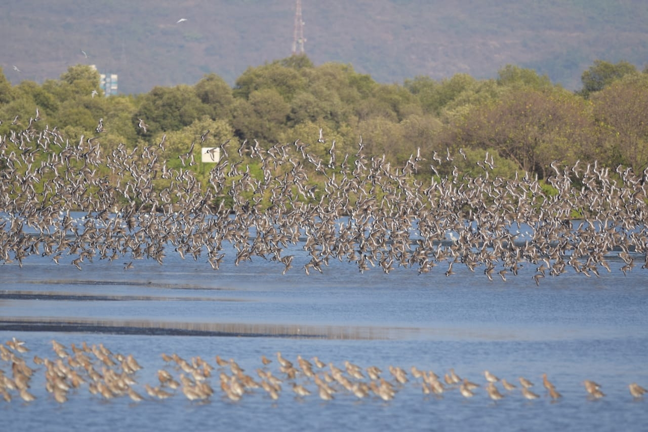 Ramsar