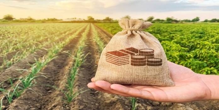 investment and precautions in agricultural land