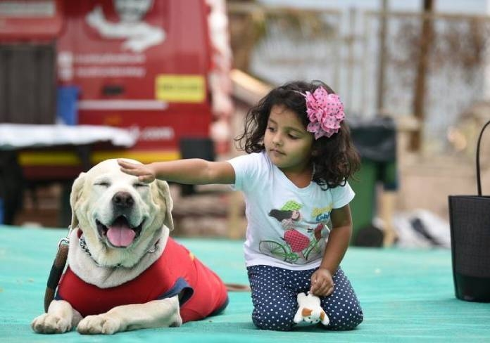 sports-competitions-and-fashion-shows-for-dogs-2-days-pet-festival-in-thane