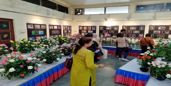 flower exhibition 