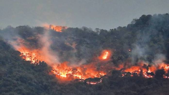 Forest fires in Goa