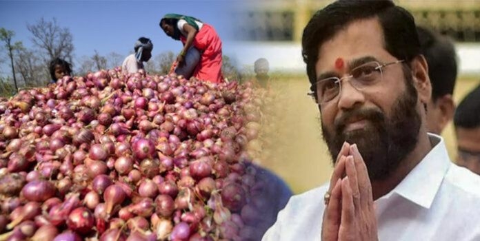 shindes-relief-to-farmers-३००-rupees-per-quintal-will-be-given-as-subsidy-for-onion
