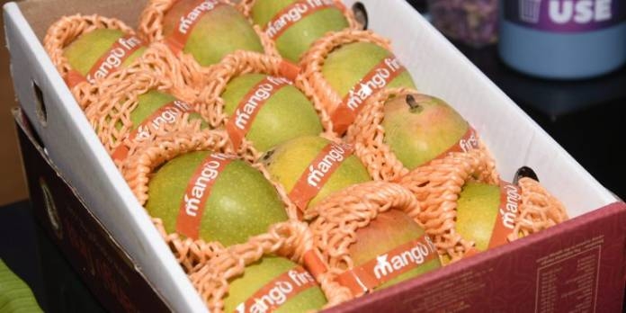 Hapus the king of fruits has decided to go abroad for mangoes